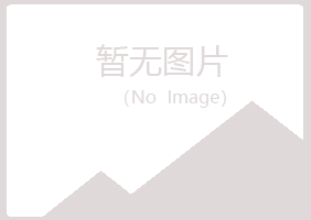 邙山区夏日咨询有限公司